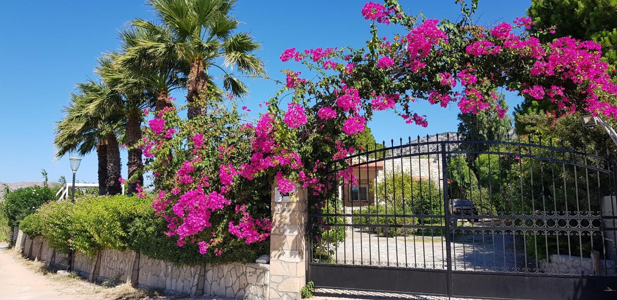 Villa Sealine Pefki Quarto foto